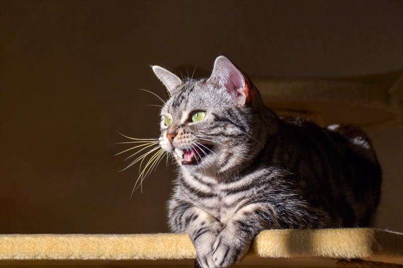 クラッキングとは