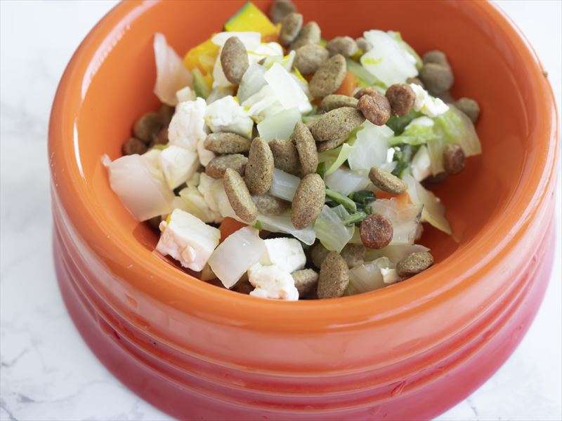 フードを手作りするメリットとは？