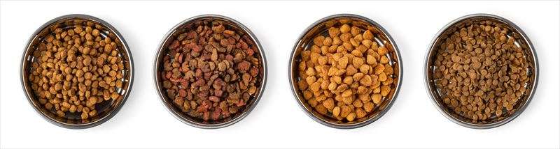 猫のフードの選び方とは？