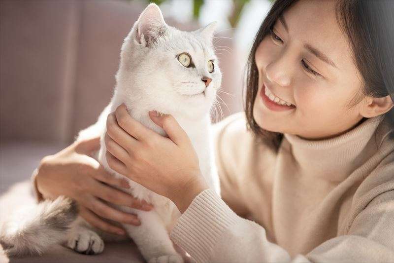 猫を飼うメリットとデメリットについて