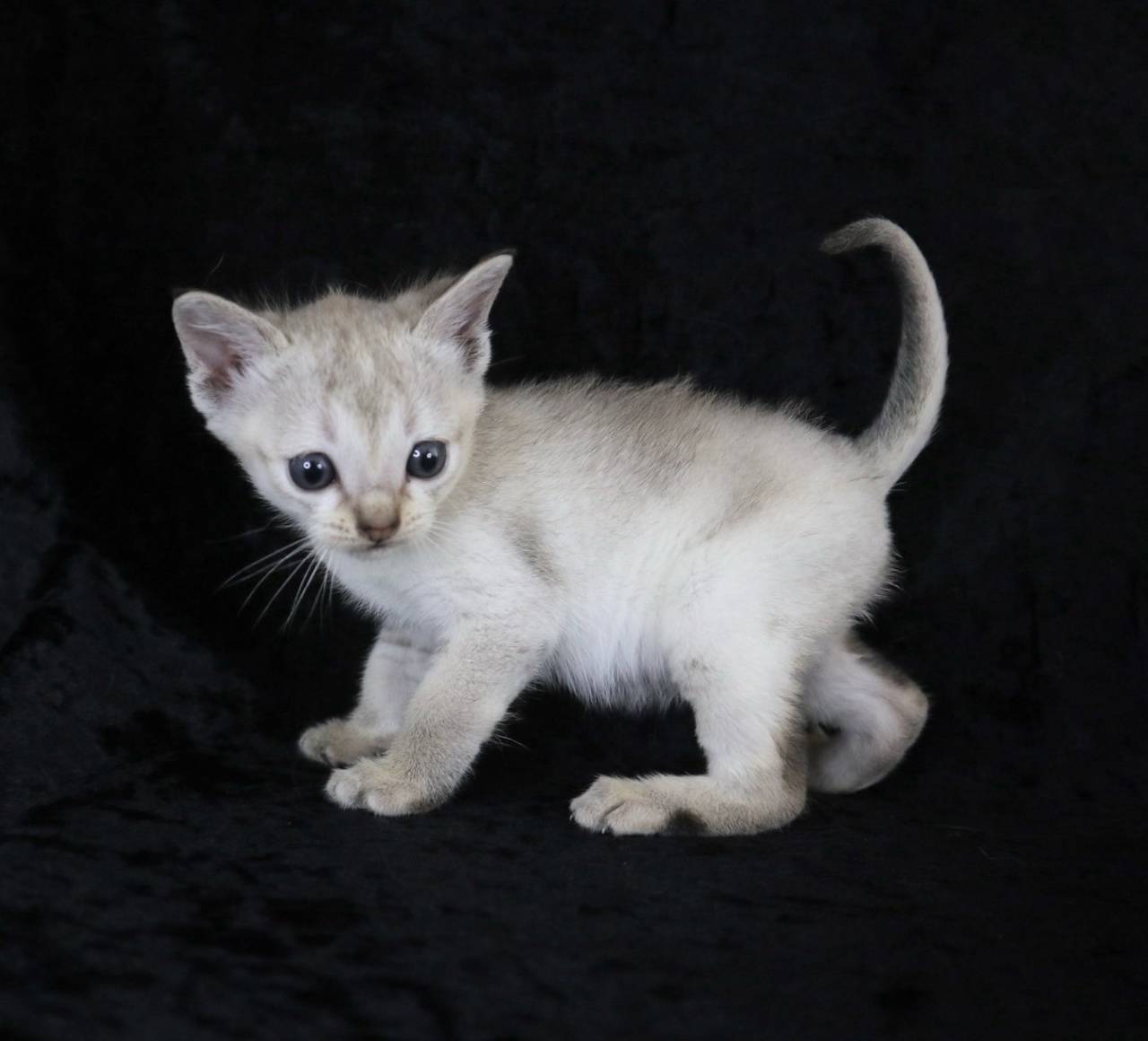 2025.3.13　産まれ　男の子