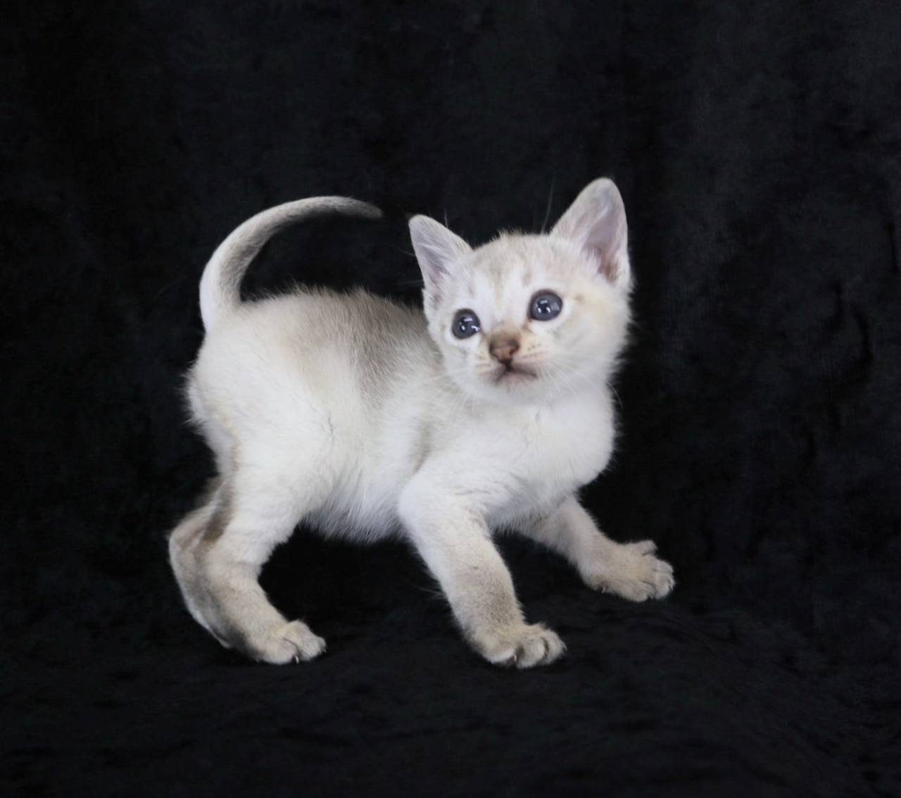 2025.3.13　産まれ　男の子